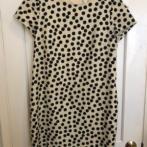 J. Crew Polka Dot Shift